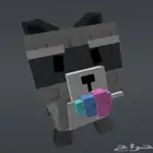 نحله دسكو وراكون ملكة نحل