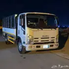 للايجار دينا ايسوزو شبك 2012
