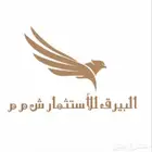 فرص استثمارية وتصدير