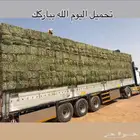 برسيم صافي