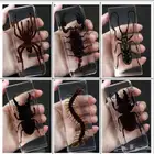 هدايا مميزه غريبة زين بها مكتبك فاجئ اصدقائك