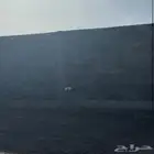 حوش معى مستودع مع سكن عمال ف الصناعيه الجديده