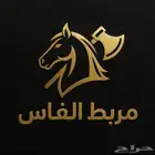 غرف ايواء خيل