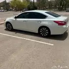 نسيان التيماء مديل 2017