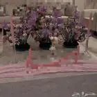 فازات ومدخل ورد استقبال مواليد