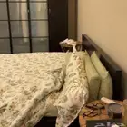 سرير ايكيا مقاس نفرين