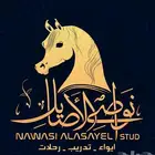 تدريب وتعليم ركوب الخيل ومايخص الخيل  اسعار مميزه