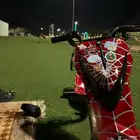سكوتر كهربائي