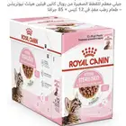 طعام رطب للقطط المعق مة