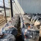 الفواز لصيانة السيارات وبيع المكائن المستوردة