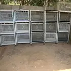 قفص طيور