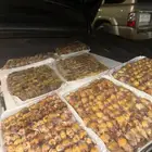 طيور