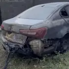 كادينزا 2017