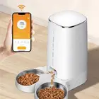 اله اكل قطط