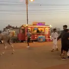 فود ترك