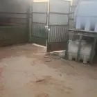 حوش غنم للإيجار سوق الجربوع