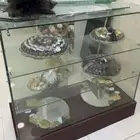 كاونتر قزاز