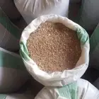 قمح حمطه