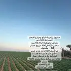 مشروع زراعي للاستثمار 4 ابراج ومزارع للايجار 500 دنم