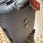 شنطة السفر حجم الصغير خاص للطيران.
