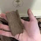 مروكي آصقون مفروز نقوة تربل ودبل