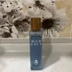 عطر ويلد كولد الاصلي