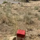 ارض للبيع مخطط السلام العكاس سابقا