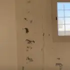 وطن للدهانات
