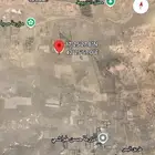 للبيع أرض زراعية في قرية ابو الحشاف في بيش