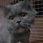 ذي قطوتي تحتاج مساعده عمليتها ب 600 ساعدوني لو بعشره ريال