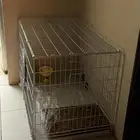 قفص حيوانات