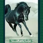 عروض الخيل في اليوم الوطني 95  .
