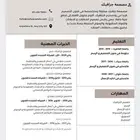 تصميم سيره ذاتيه بشكل احترافي واقل سعر