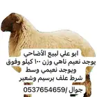 الموقع الملهم على طريق القصيم