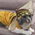 قطوه للتبني