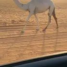 للبيع مفروده