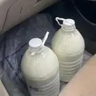 لبن بقر بلدي طازج
