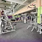 اشتراك نادي التفاح الاخضر النسائي فرع الهفوف