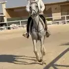 العيينه الرياض