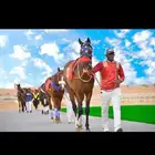 حصان سبوق