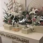 ستاند شبكة زواج