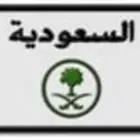 لوحة سيارة مميزة معنى ورقم زوجي الله يعد (ي ع د 13)