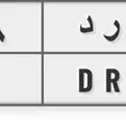 مزاد على لوحة مميزه ورد