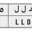 لوحة دلو دلال داليا