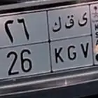 لوحة ثنائي للبيع