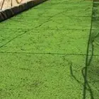 أزولا منافس وعالي الجودة