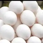 بيض براهما كولمبي