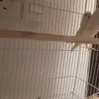تم البيع