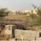 أرض زراعية للإيجار