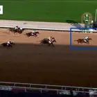 الحصان لبيع وسليم من كل شي معه جواز.